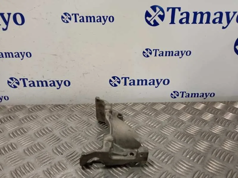 Soporte Motor para Renault Scenic Iii (Jz0/1_)