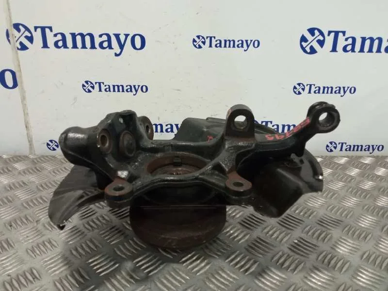 Mangueta Delantera Izquierda para Bmw X5 (E53)