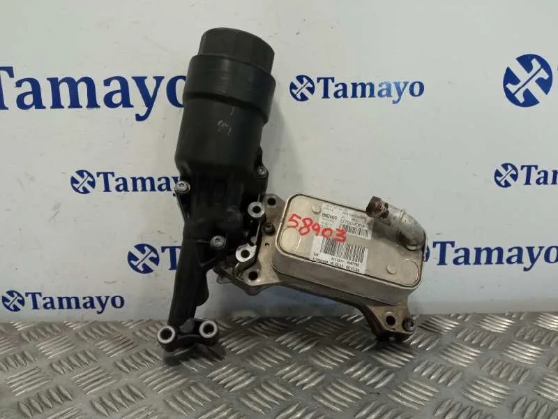 Enfriador Aceite Motor para Mercedes-Benz Vito Kasten (639)
