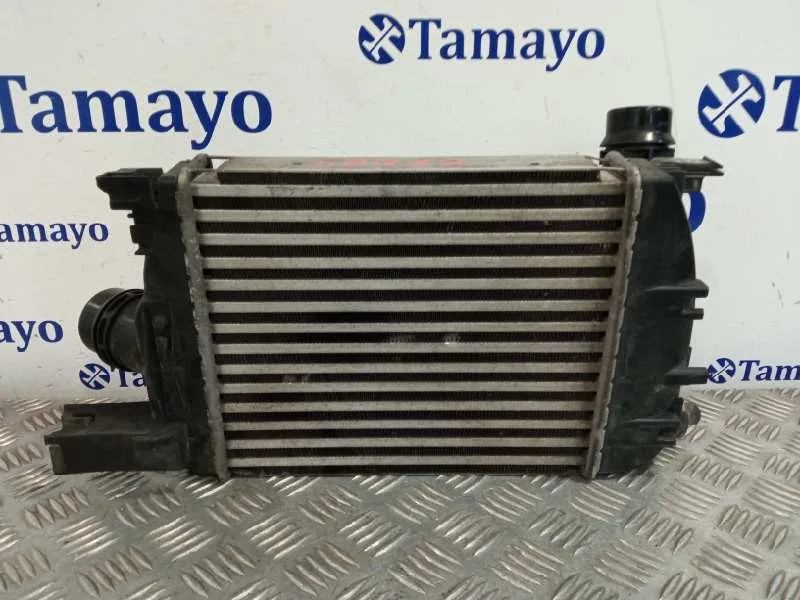 Intercooler para Dacia Sandero