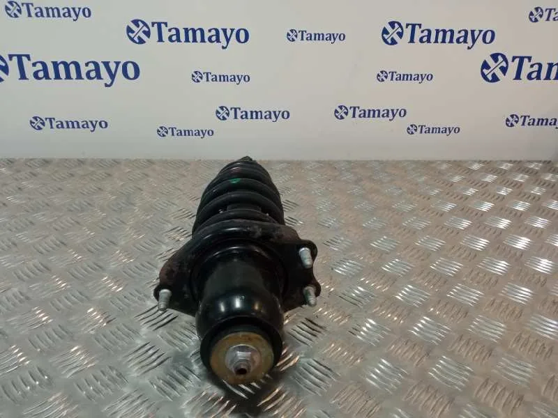 Amortiguador Trasero Izquierdo para Toyota Avensis Wagon (T25)