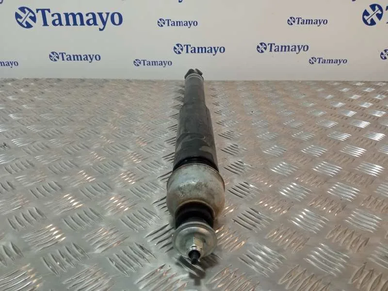 Amortiguador Trasero para Nissan Juke (F15)