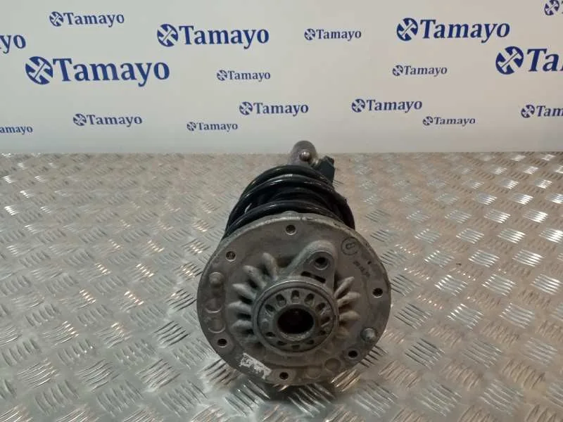 Amortiguador Delantero Izquierdo para Bmw Serie 3 Lim. (F30)