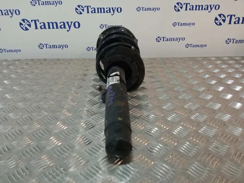 Amortiguador Delantero Izquierdo para Bmw Serie 3 Lim. (F30)
