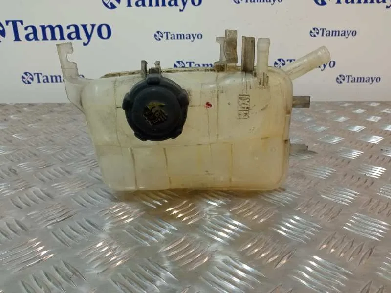 Deposito Expansion para Renault Scenic Iii (Jz0/1_)