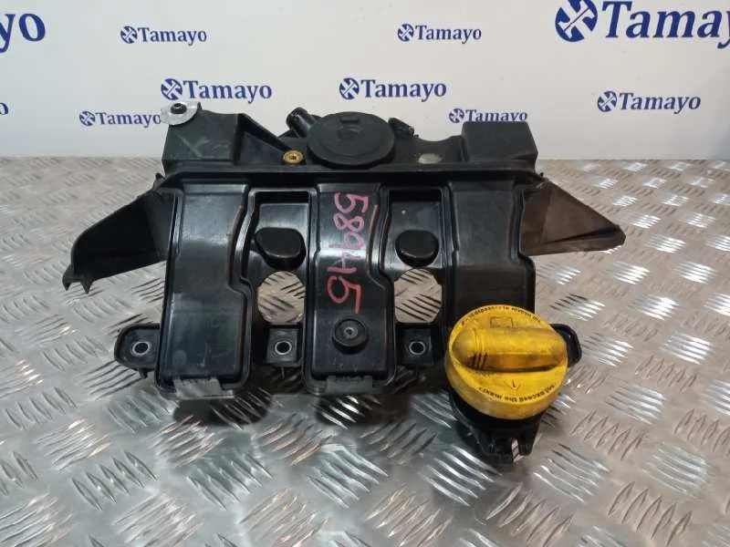 Tapa Balancines para Renault Scenic Iii (Jz0/1_)