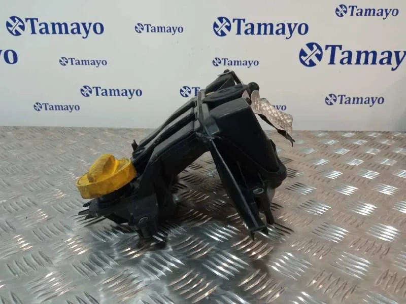 Tapa Balancines para Renault Scenic Iii (Jz0/1_)