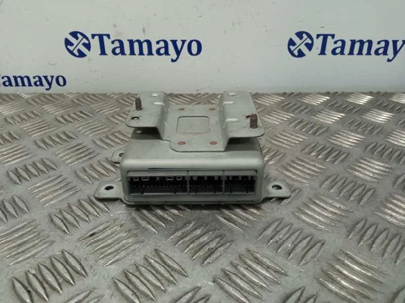 Modulo Electronico para Ssangyong Rodius