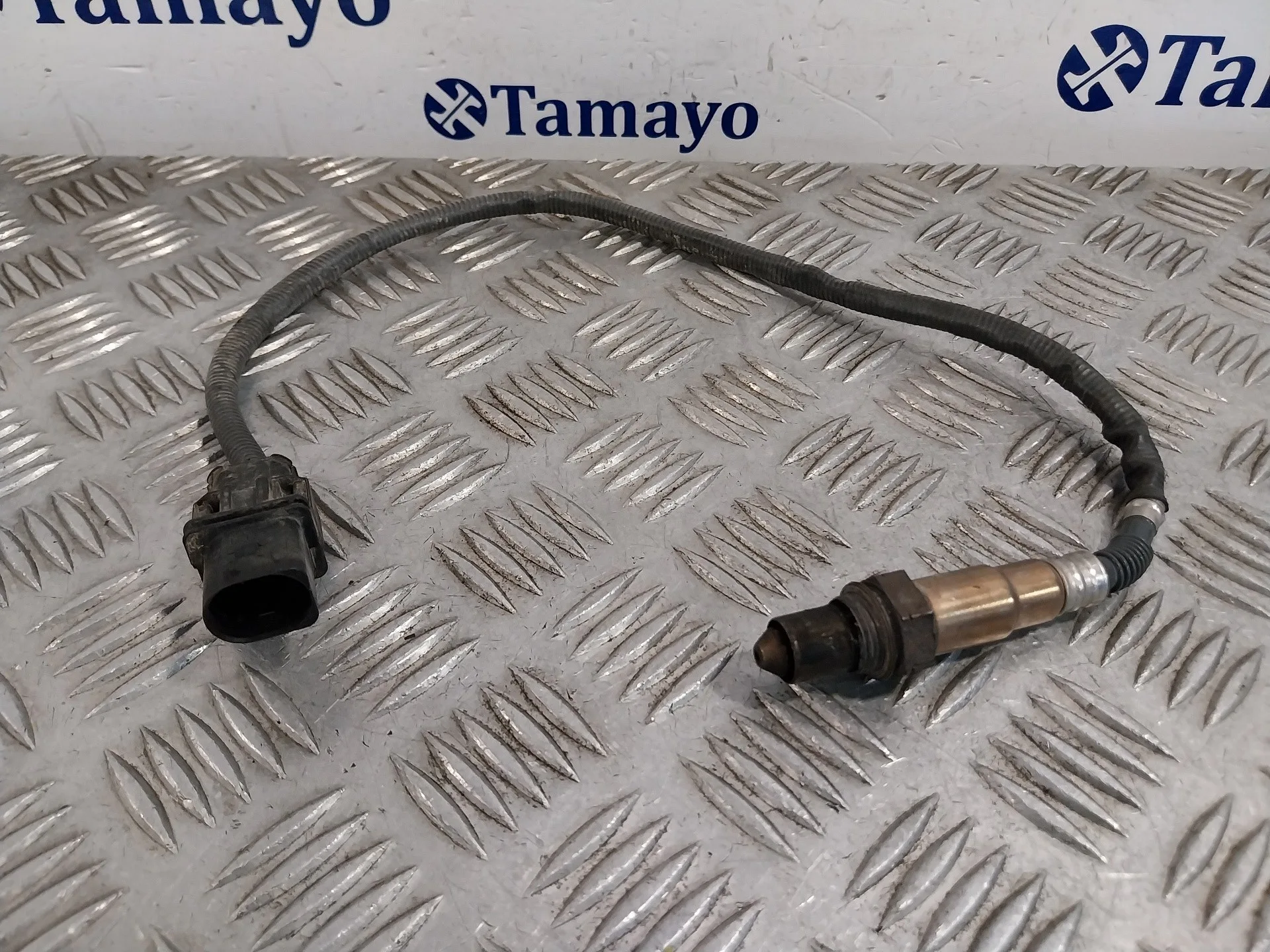 Sonda Lambda para Iveco Daily Vi