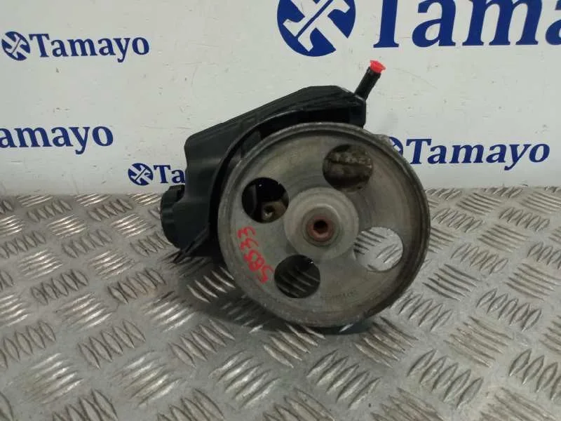Bomba Direccion para Peugeot 206 Berlina
