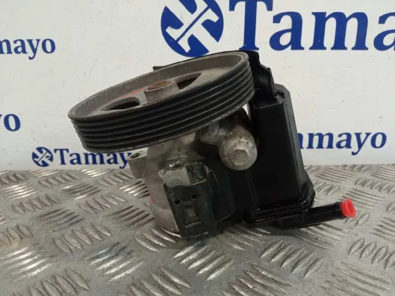 Bomba Direccion para Peugeot 206 Berlina
