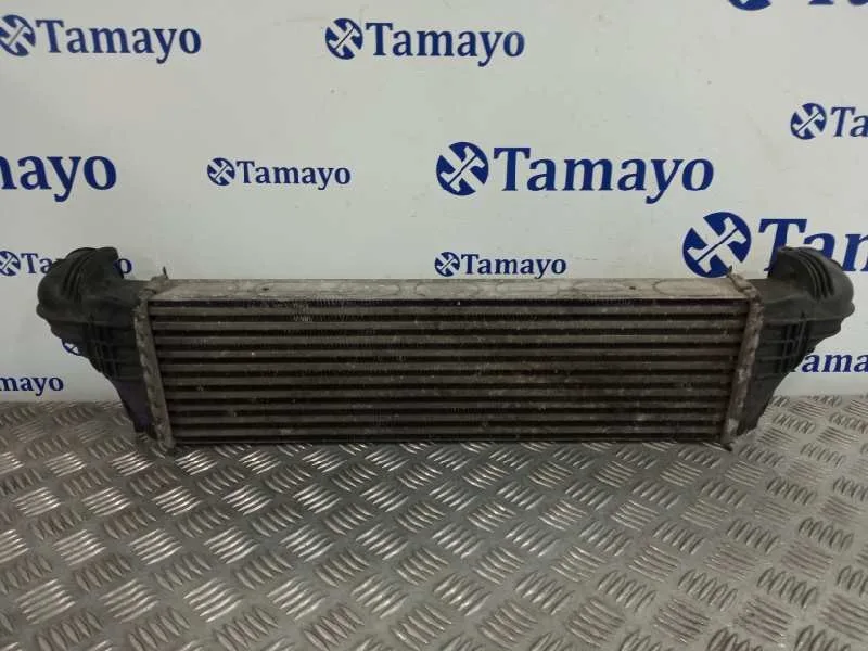 Intercooler para Bmw X5 (E53)