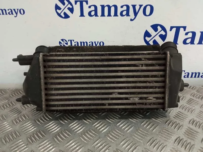 Intercooler para Ford B-Max