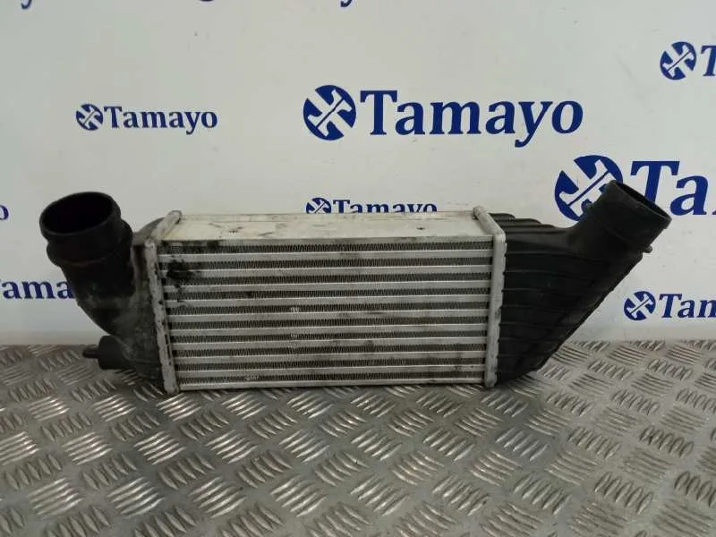 Intercooler para Fiat Scudo Combi (272)