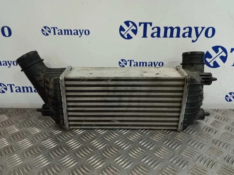 Intercooler para Fiat Scudo Combi (272)