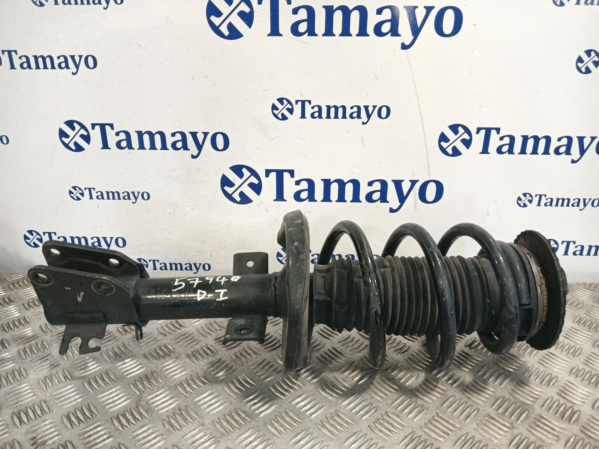 Amortiguador Delantero Izquierdo para Opel Movano B Pritsche/Kipper/Koffer