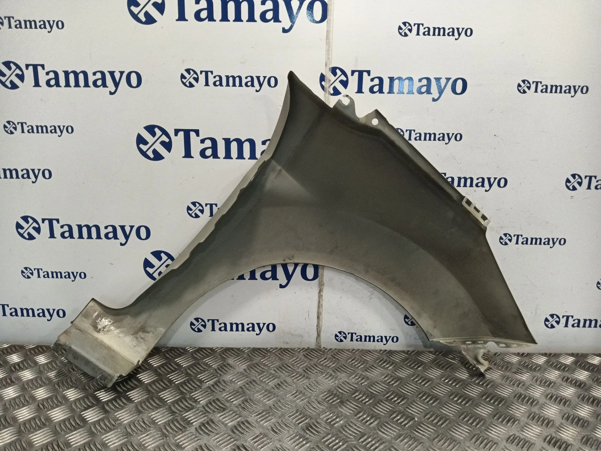 Aleta Delantera Izquierda para Ford Fiesta (Cb1)