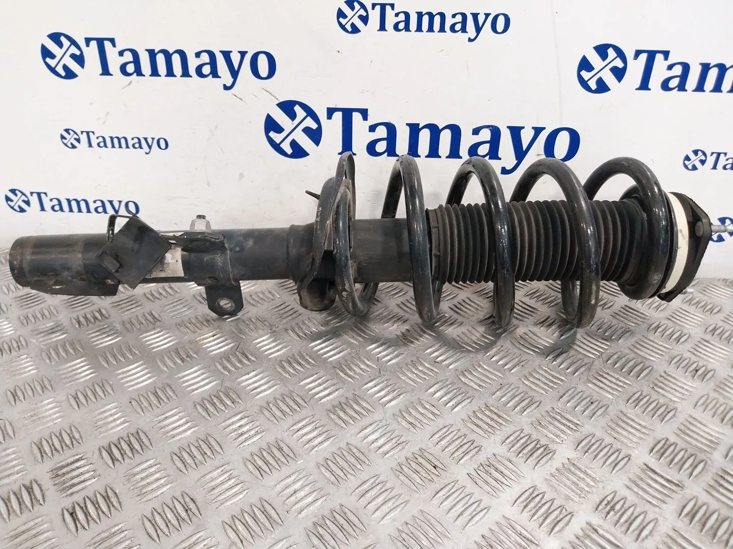 Amortiguador Delantero Derecho para Ford Transit Kastenwagen (Ttg)
