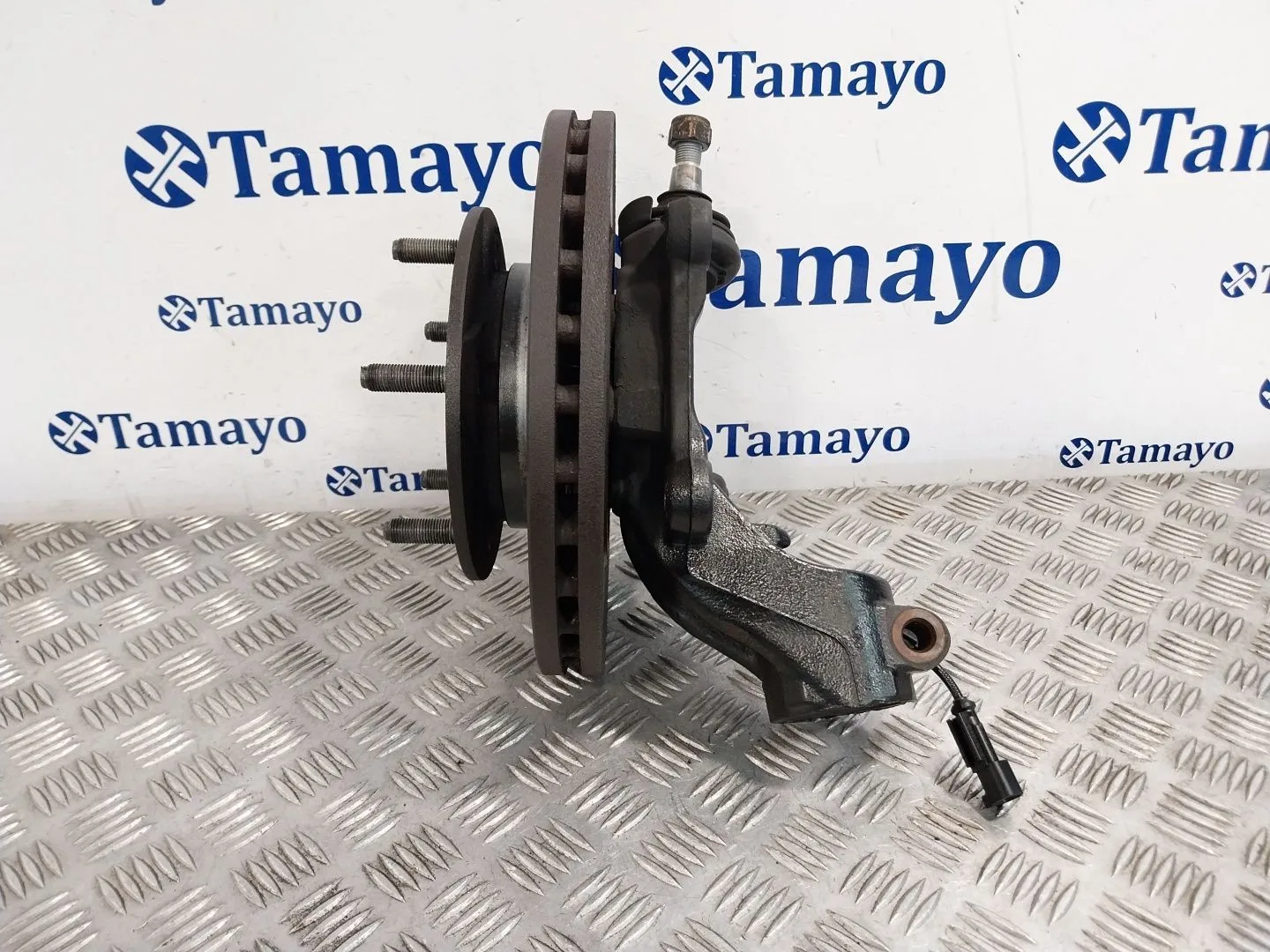 Mangueta Delantera Izquierda para Ford Transit Kastenwagen (Ttg)