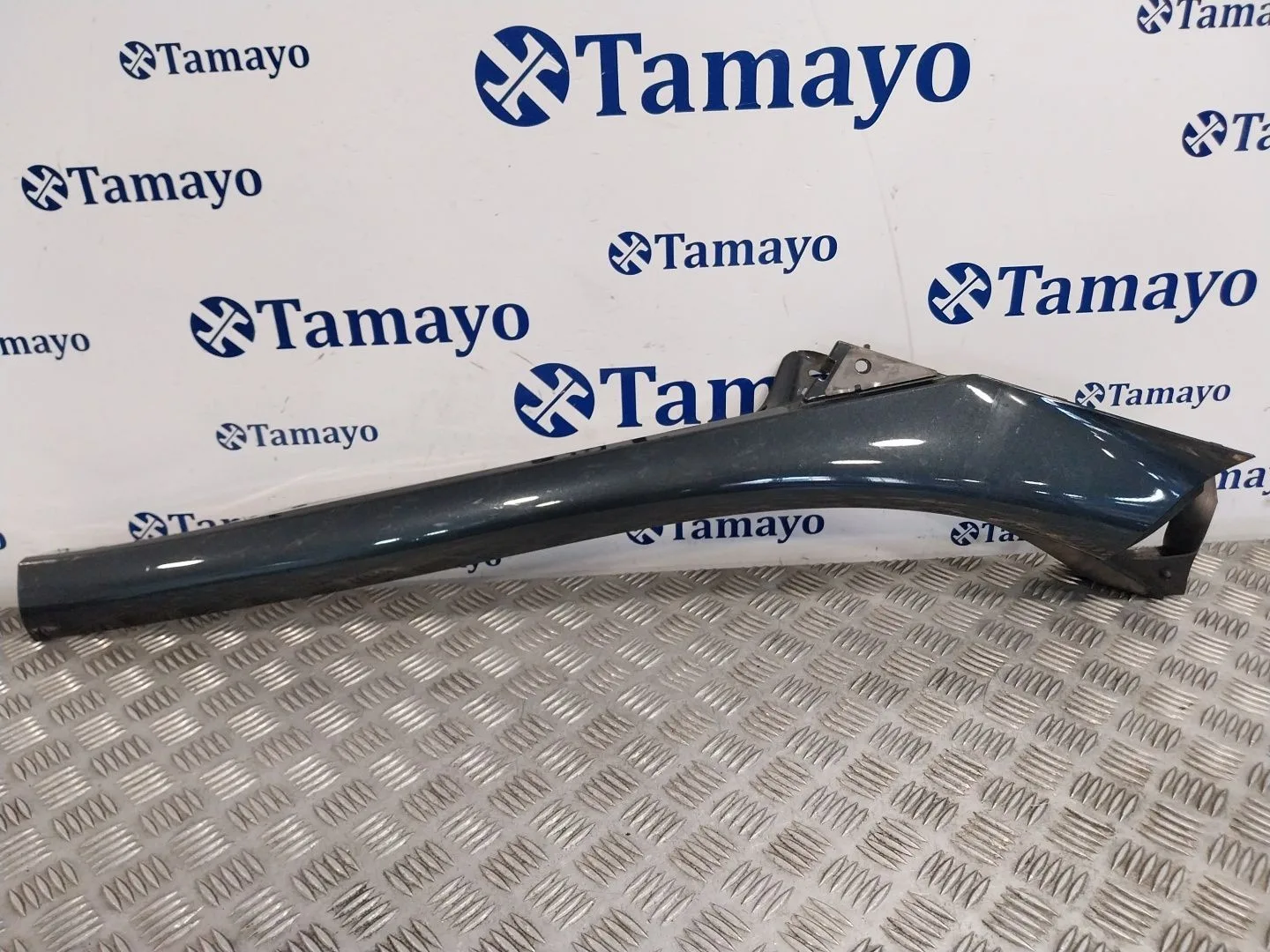 Molduras Delanteras para Renault Scenic Iii