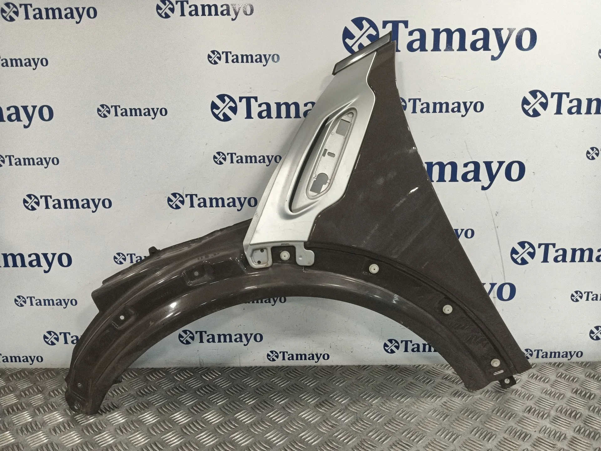 Aleta Delantera Izquierda para Mini Mini Countryman (R60)