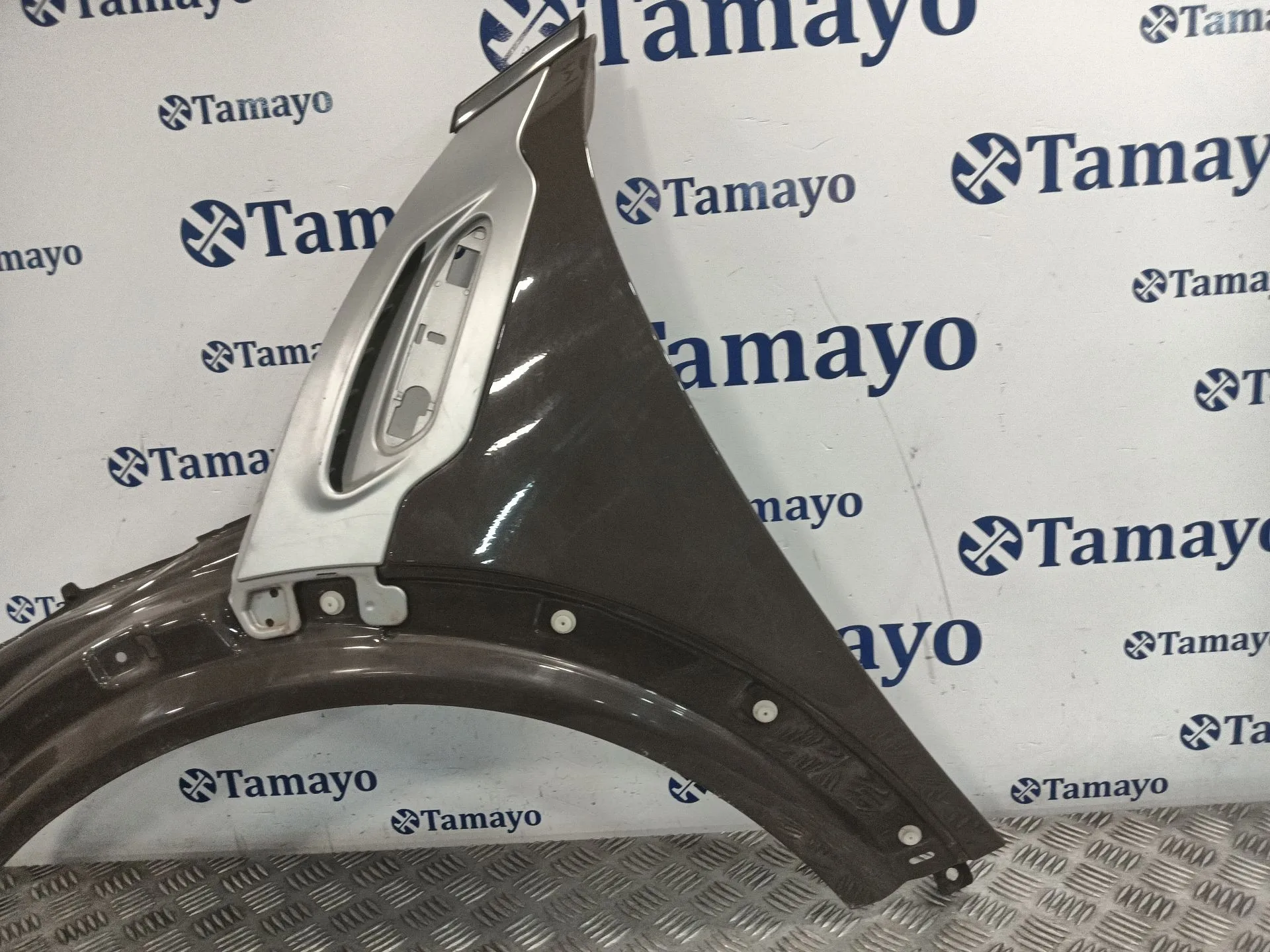 Aleta Delantera Izquierda para Mini Mini Countryman (R60)