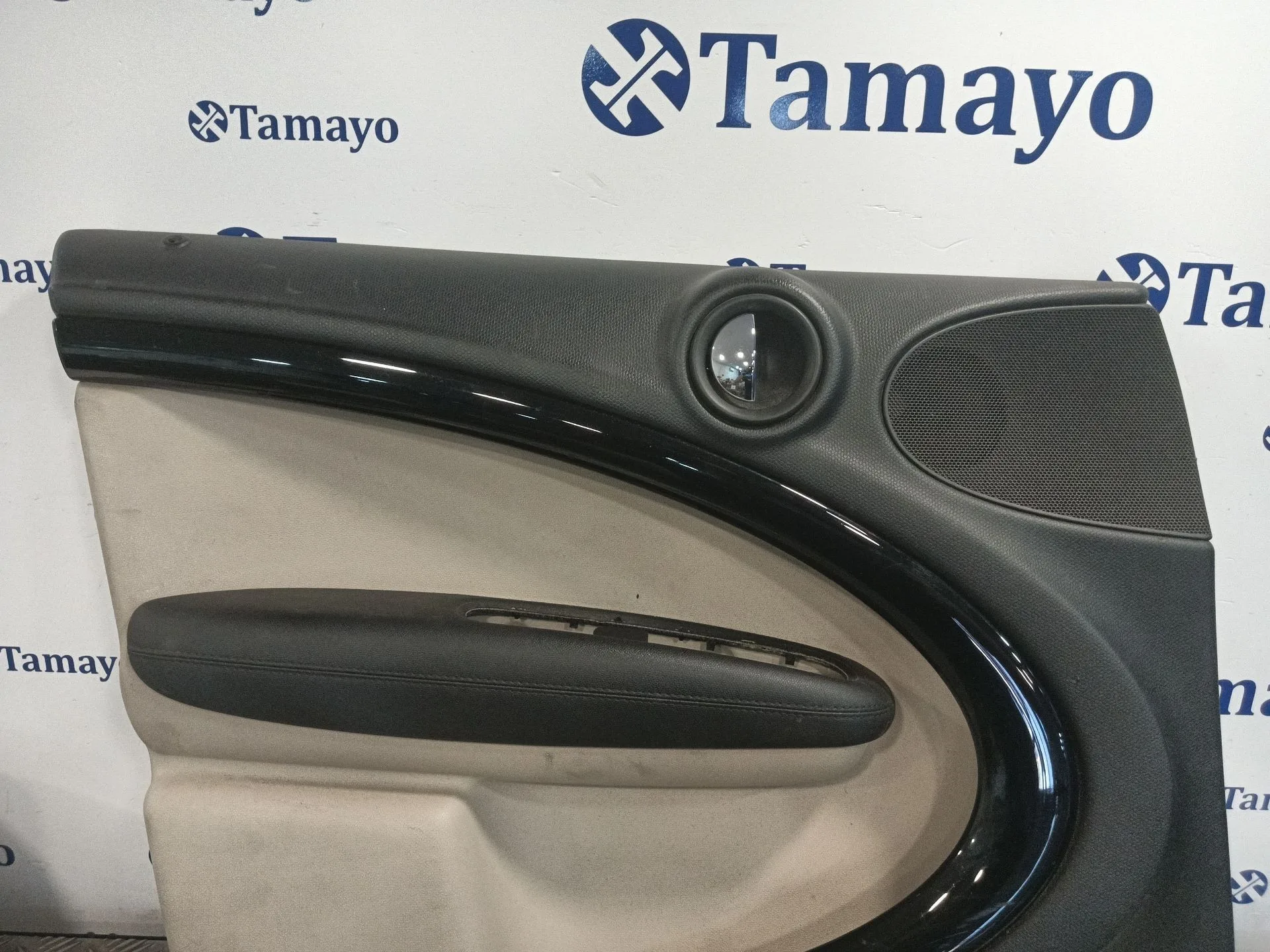 Guarnecido Puerta Delantera Izquierda para Mini Mini Countryman (R60)