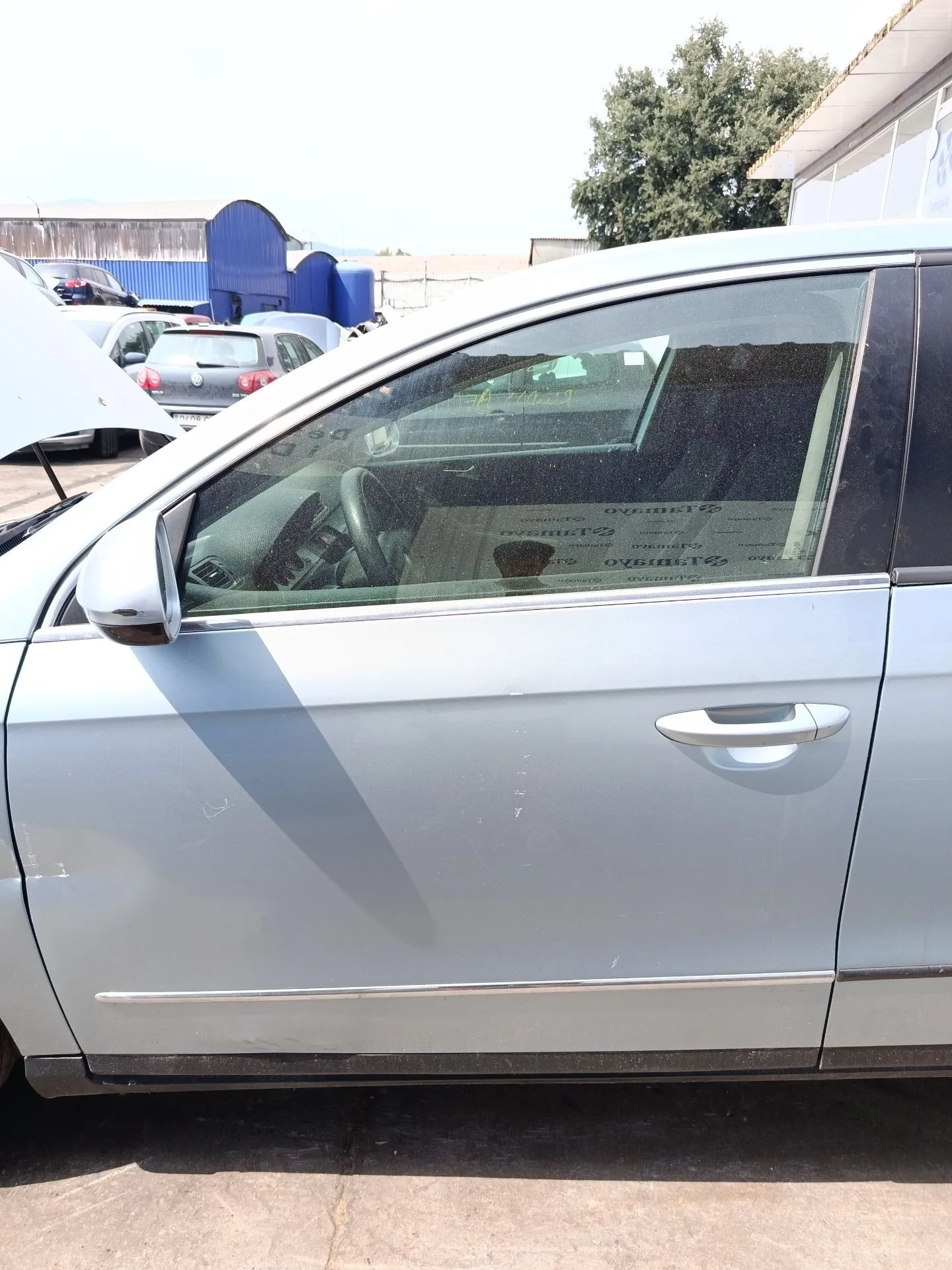 Puerta Delantera Izquierda para Volkswagen Passat B6 (3C2)