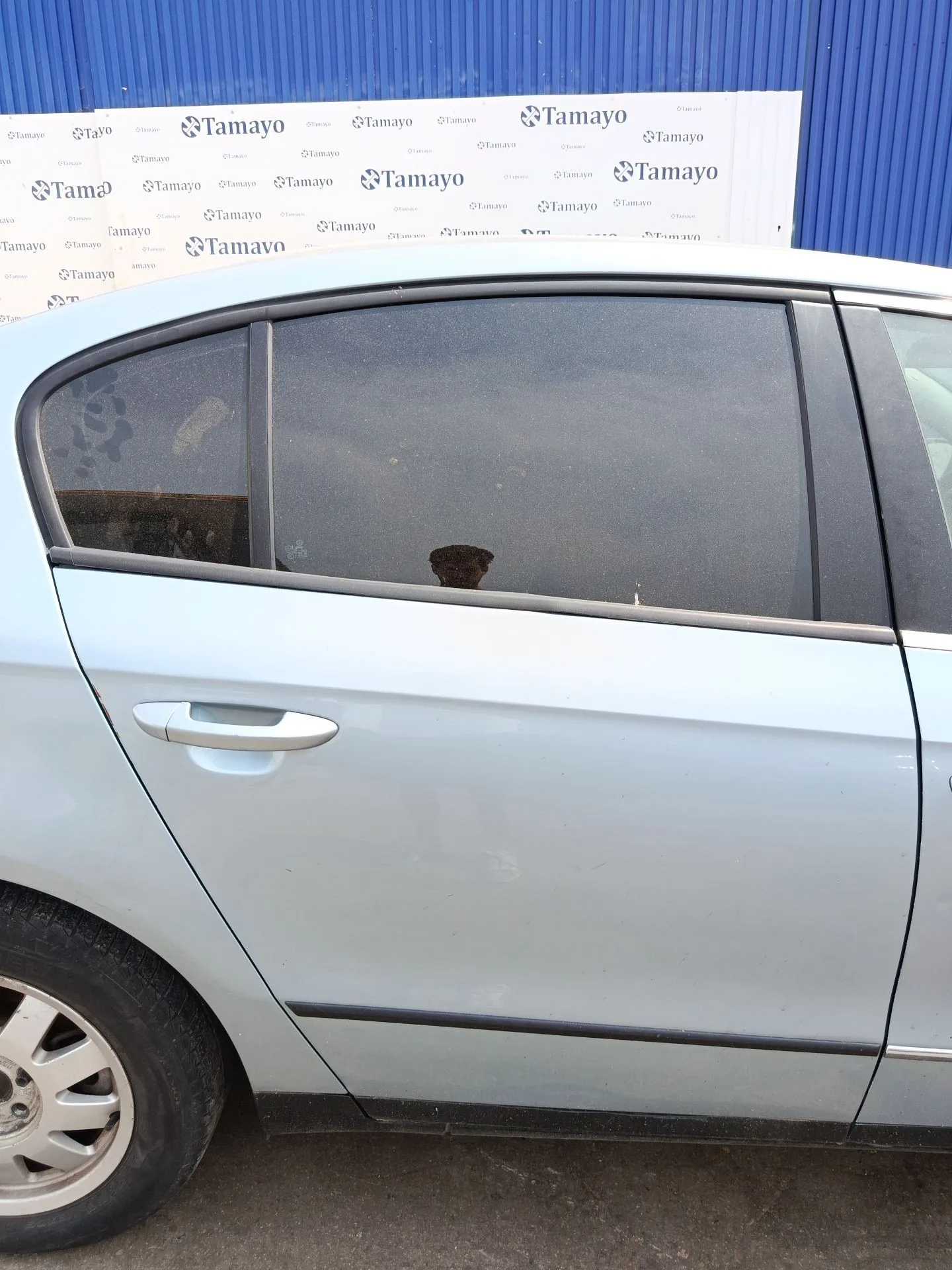 Puerta Trasera Derecha para Volkswagen Passat B6 (3C2)