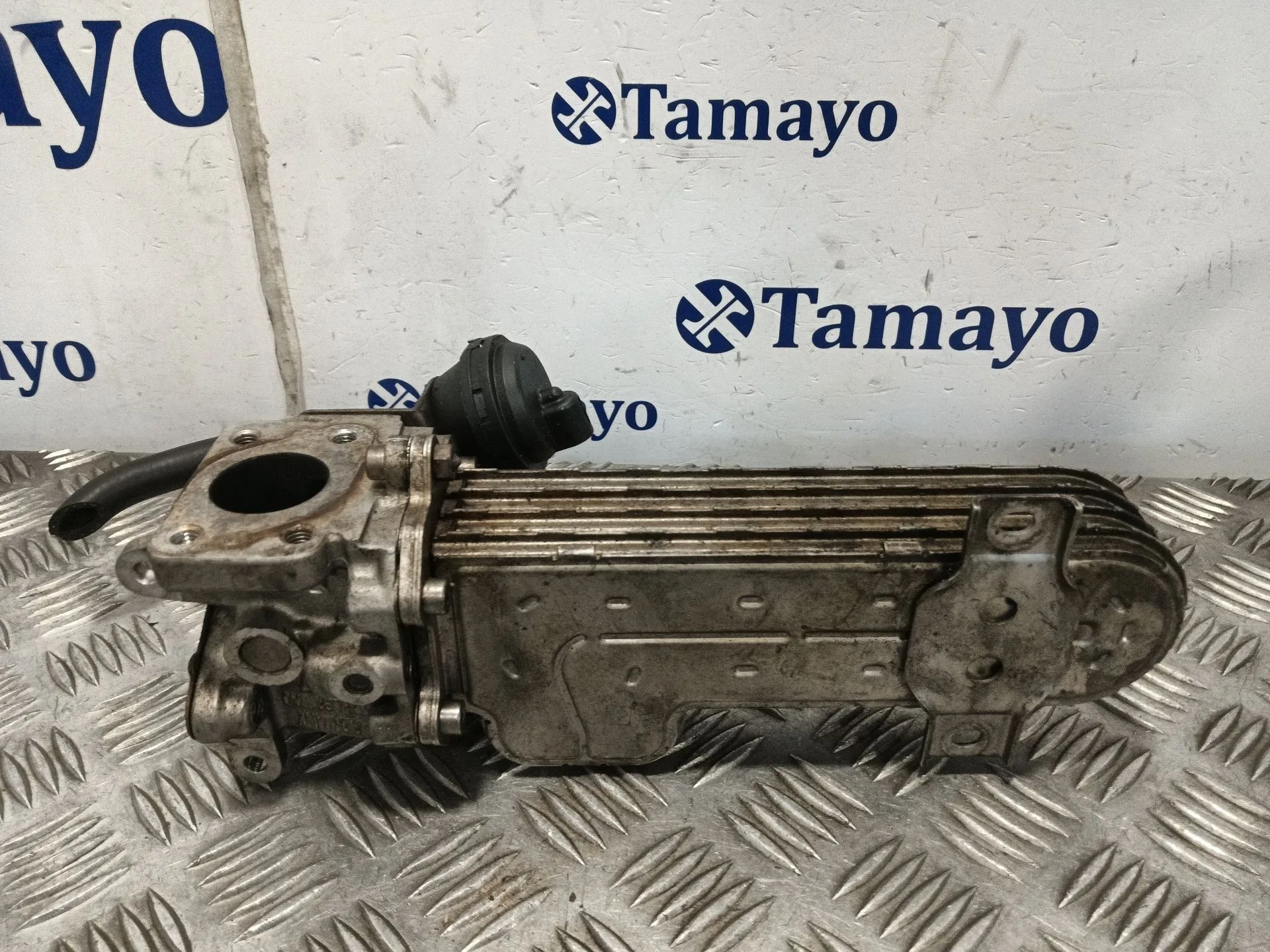 Enfriador Egr para Seat Leon (1P1)