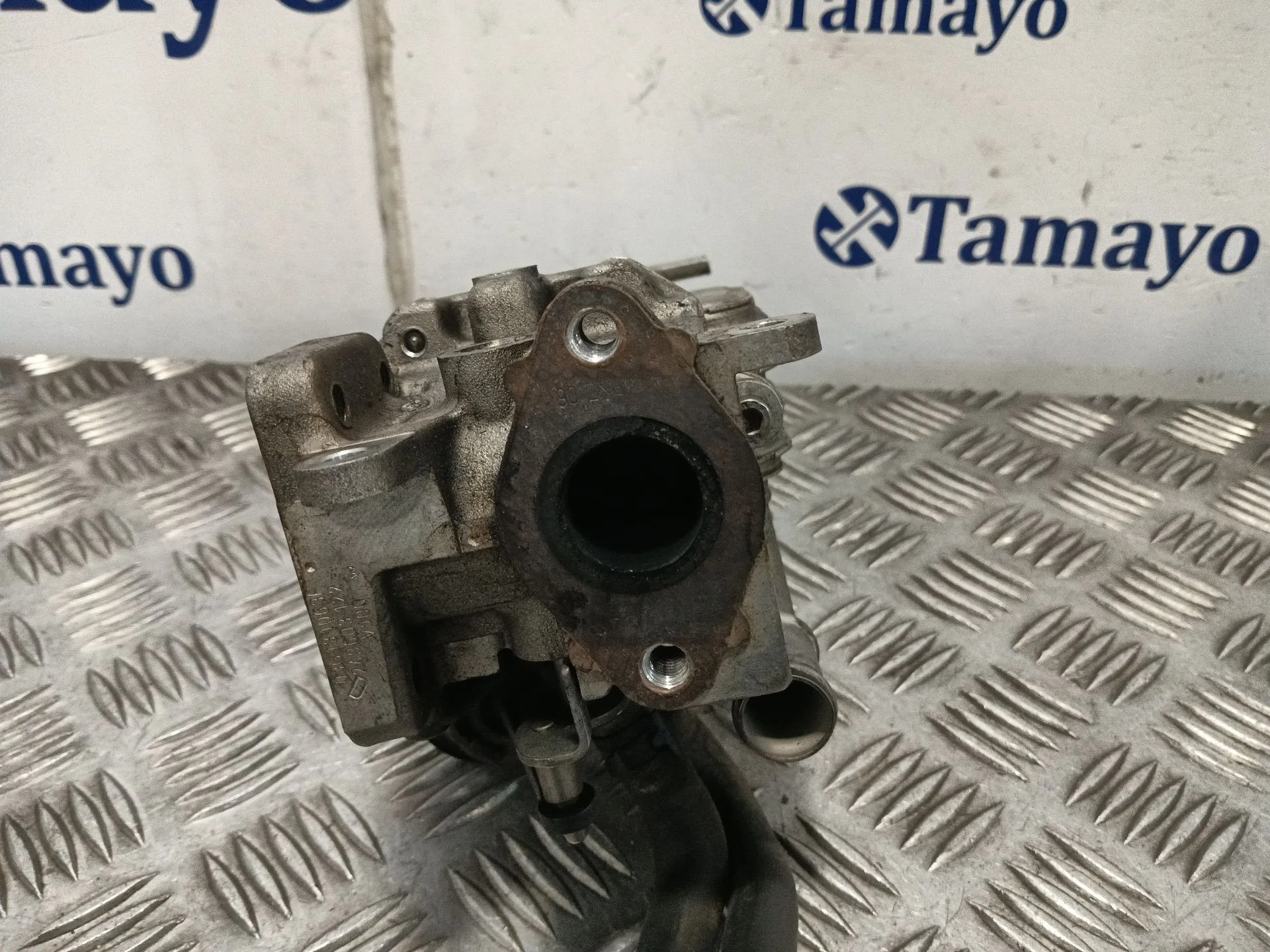 Enfriador Egr para Seat Leon (1P1)