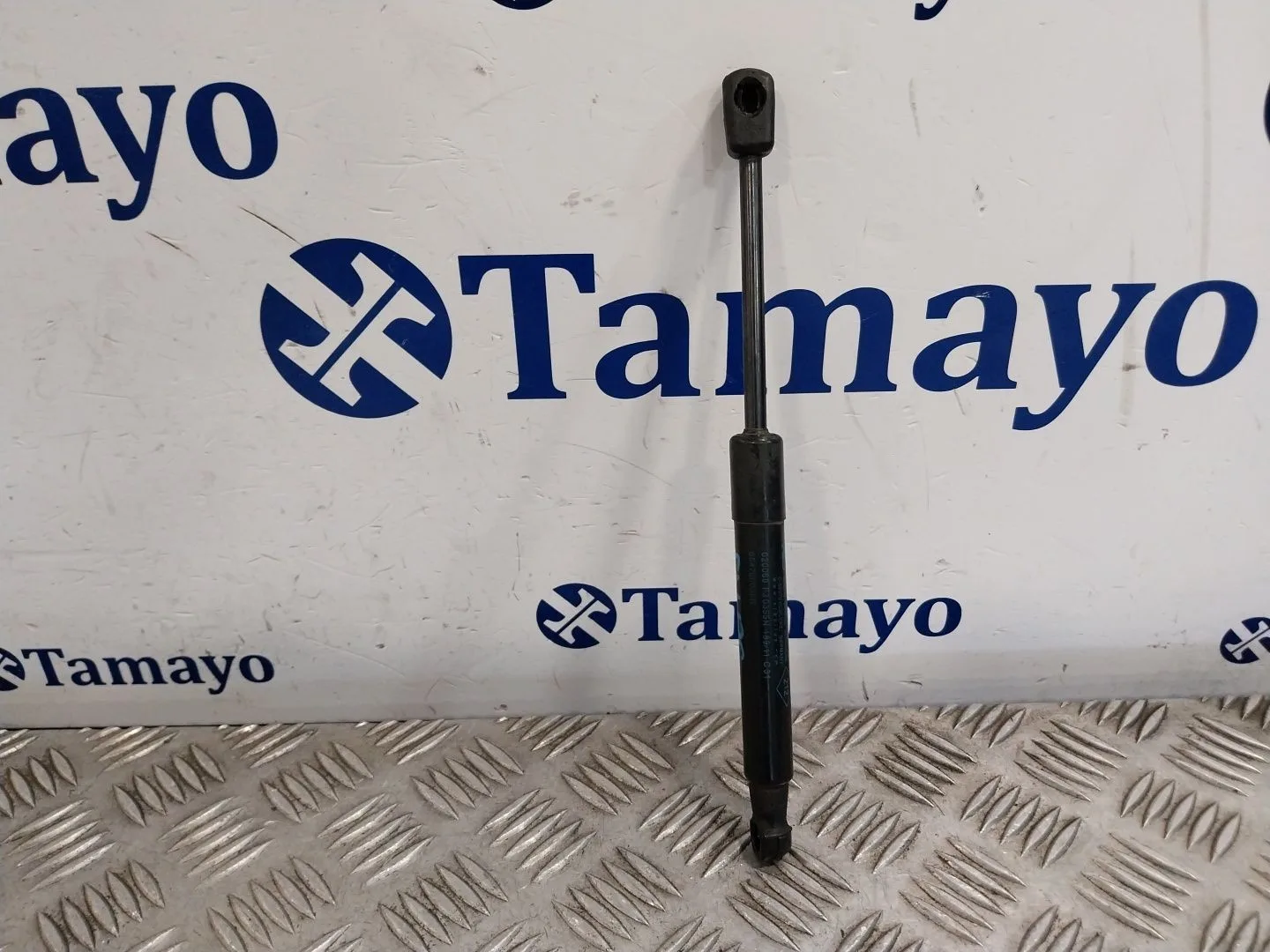Amortiguadores Capo para Renault Scenic Iii (Jz0/1_)