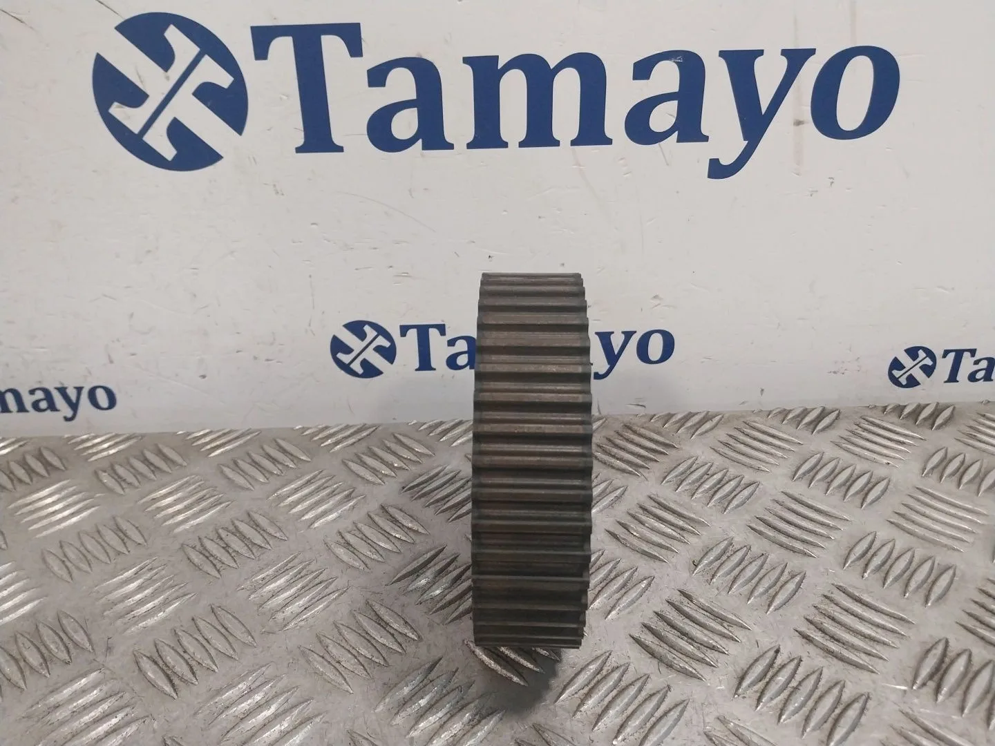 Polea Arbol Levas para Seat Leon (1P1)