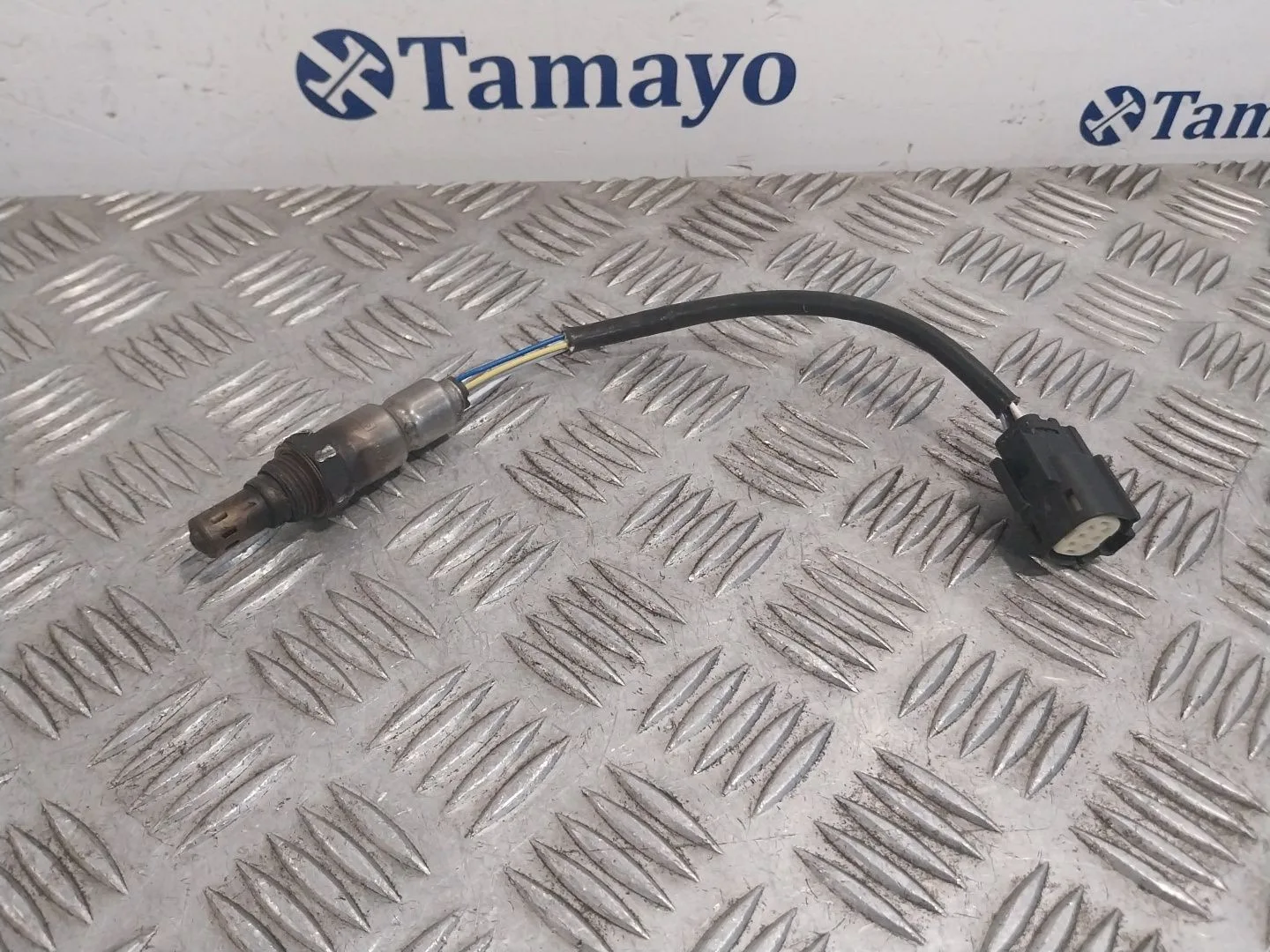 Sonda Lambda para Ford Transit Courier