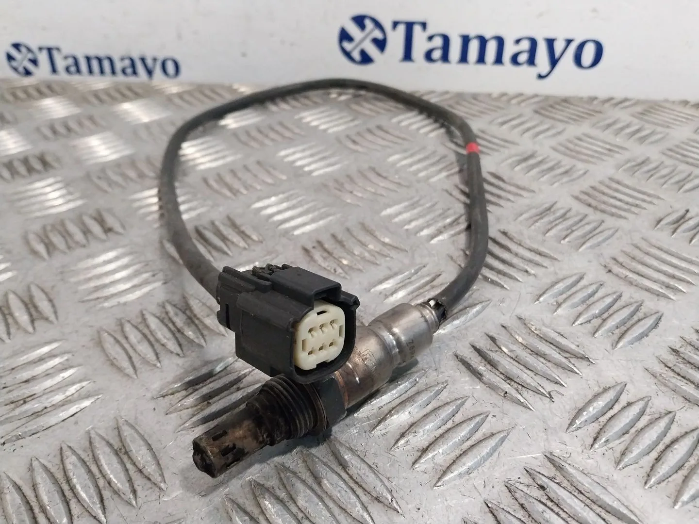 Sonda Lambda para Ford Transit Courier