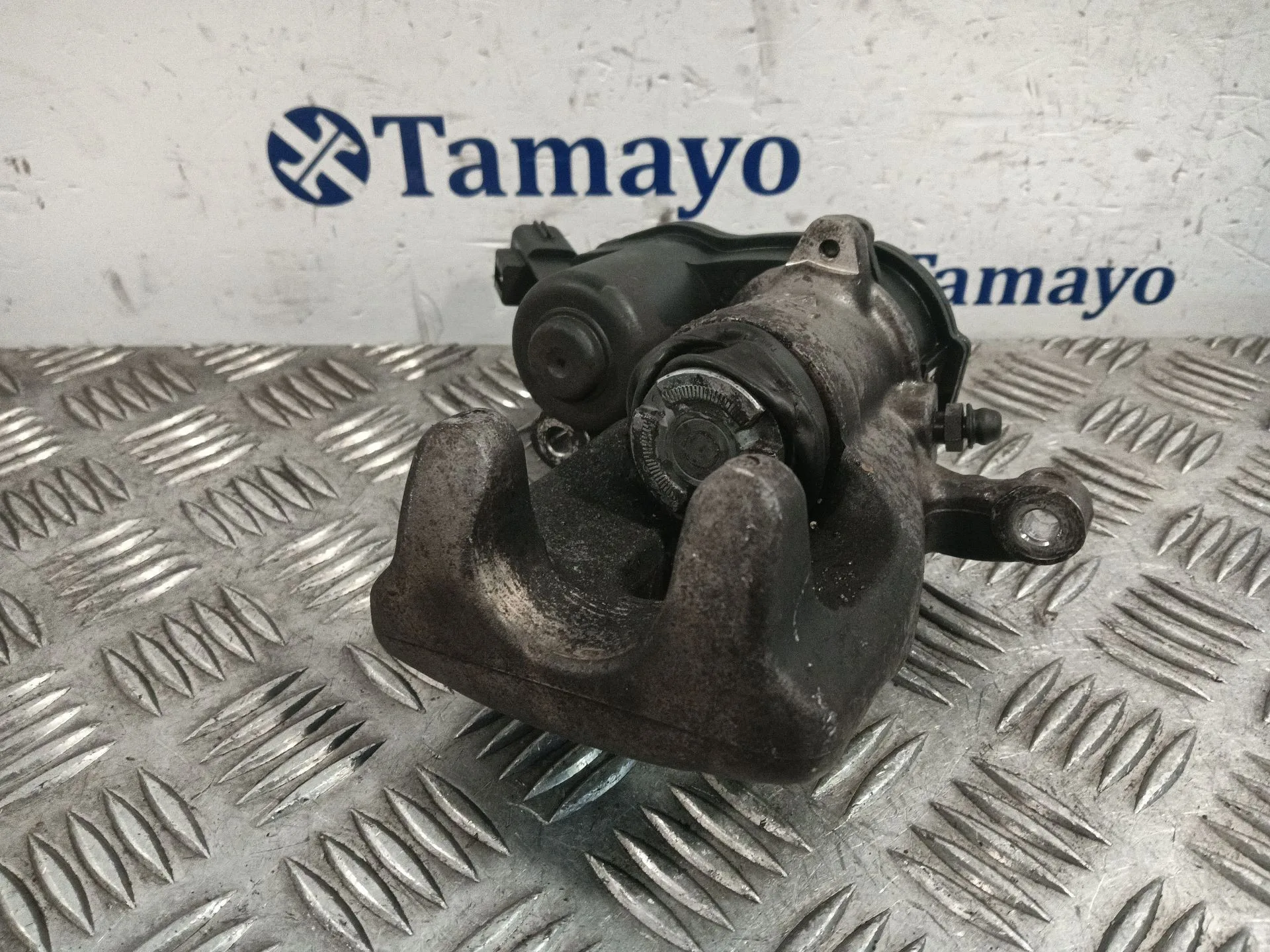 Pinza Freno Trasera Izquierda para Renault Scenic Iii (Jz0/1_)