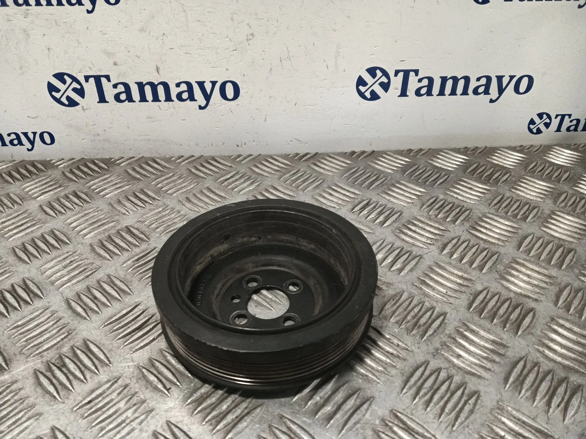 Polea Ciguenal para Seat Leon (1P1)