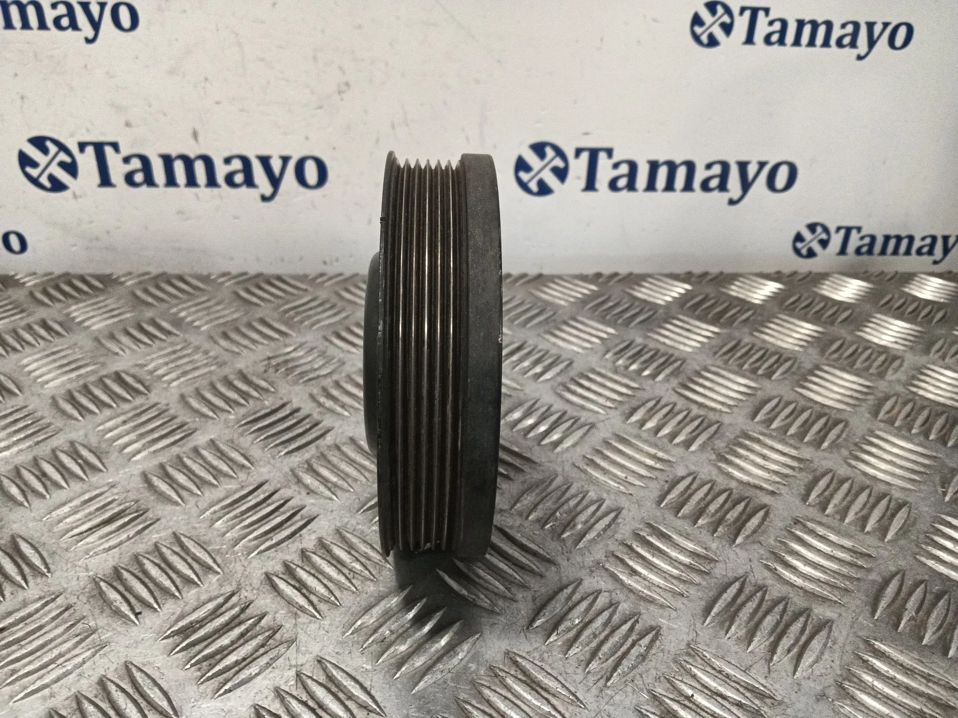 Polea Ciguenal para Seat Leon (1P1)