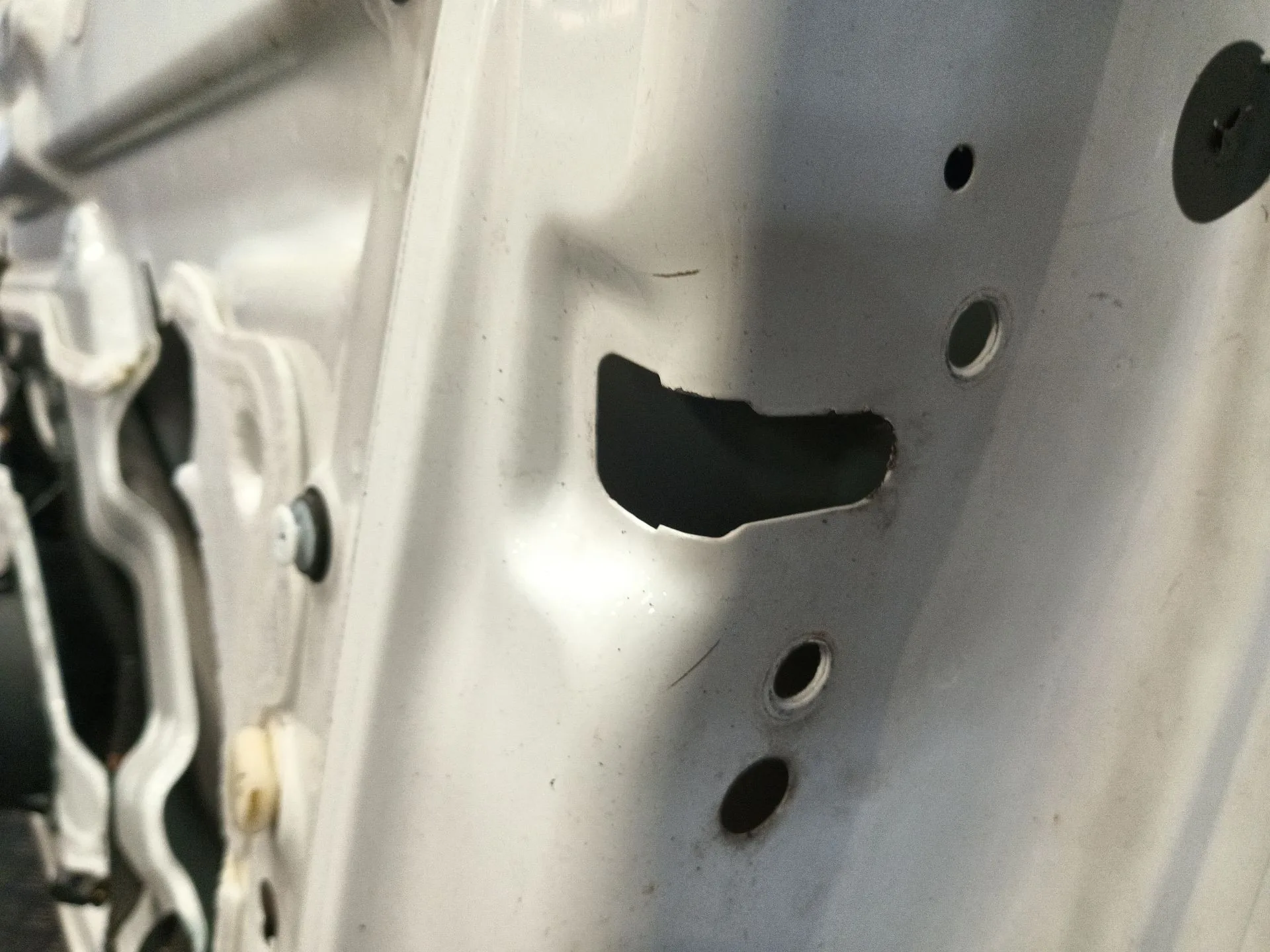 Puerta Delantera Derecha para Citroën Berlingo
