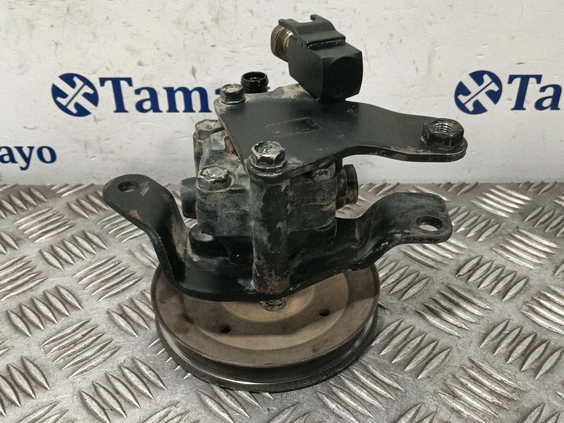 Bomba Direccion para Nissan Terrano/Terrano.ii (R20)
