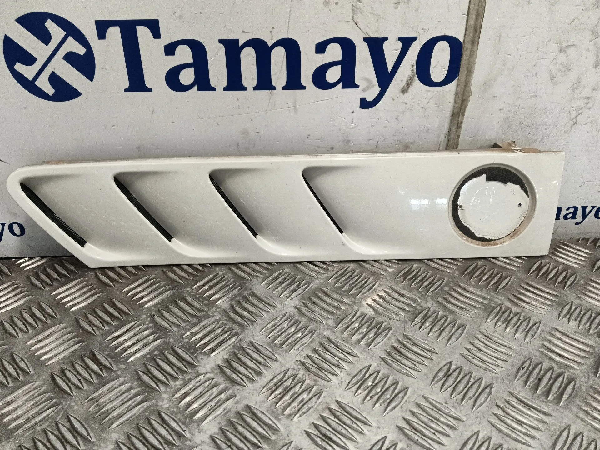 Rejilla Capot para Bmw Z3 Roadster (E36)