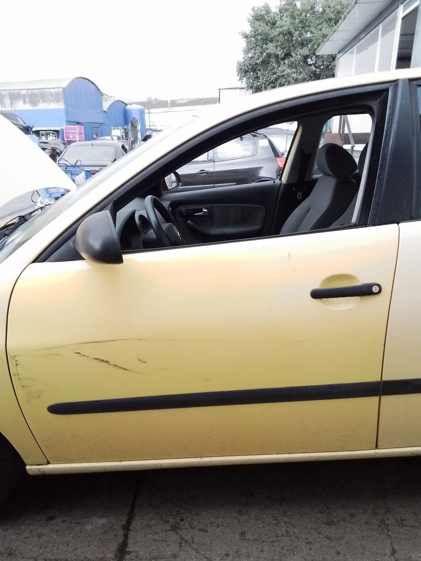 Puerta Delantera Izquierda para Seat Ibiza Iii (6L1)