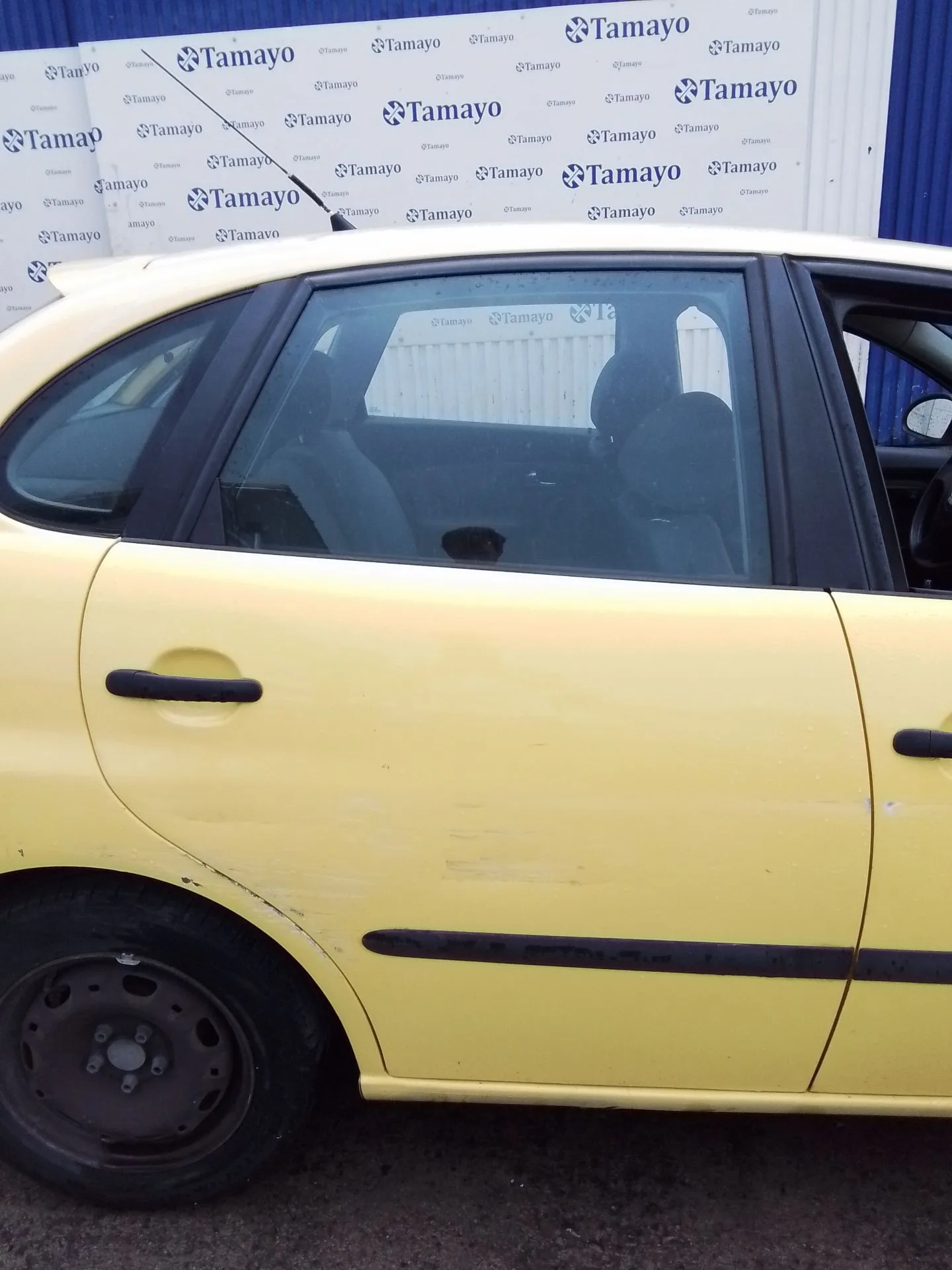 Puerta Trasera Derecha para Seat Ibiza Iii (6L1)