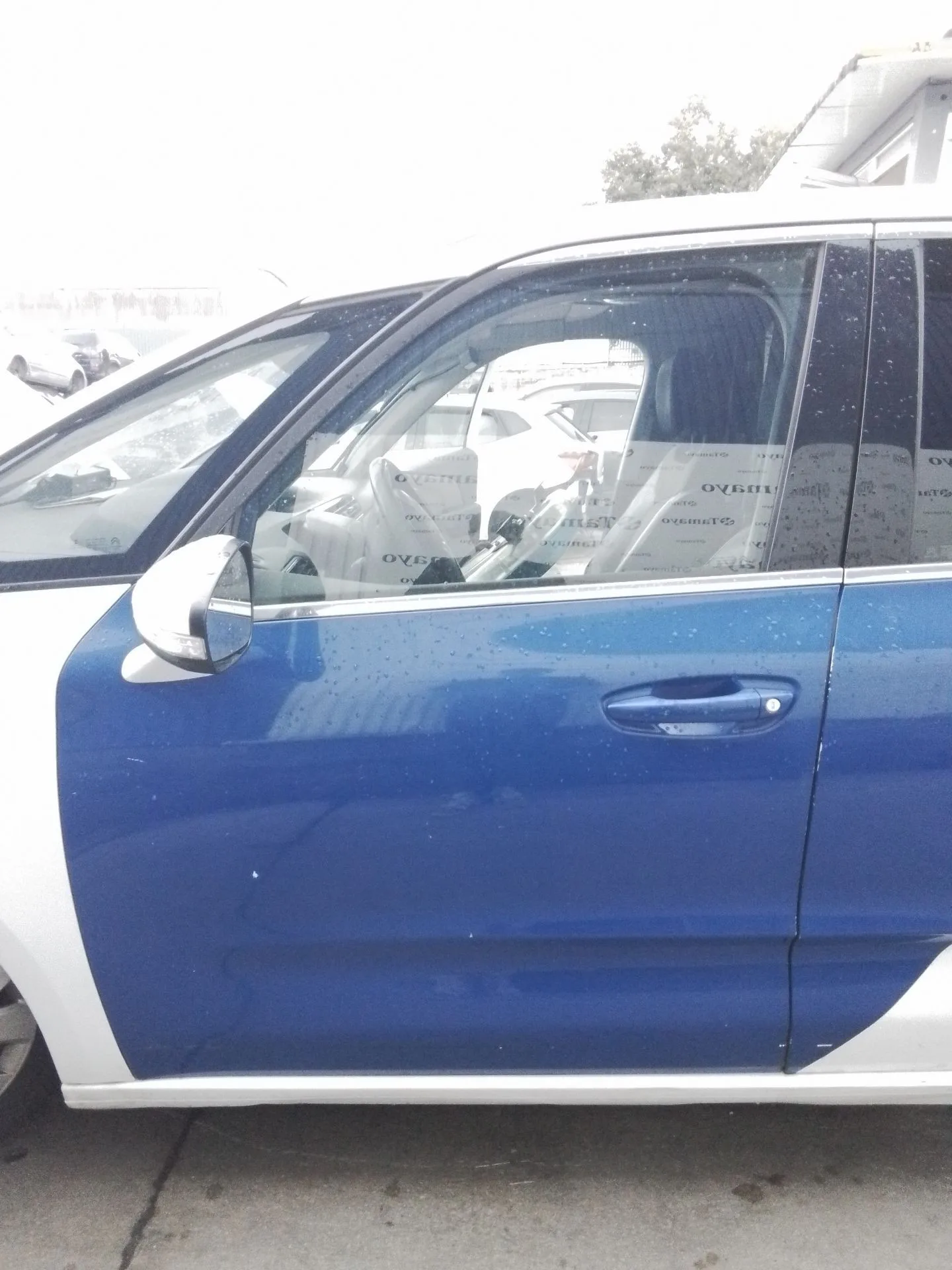 Puerta Delantera Izquierda para Citroën C4 Picasso Ii
