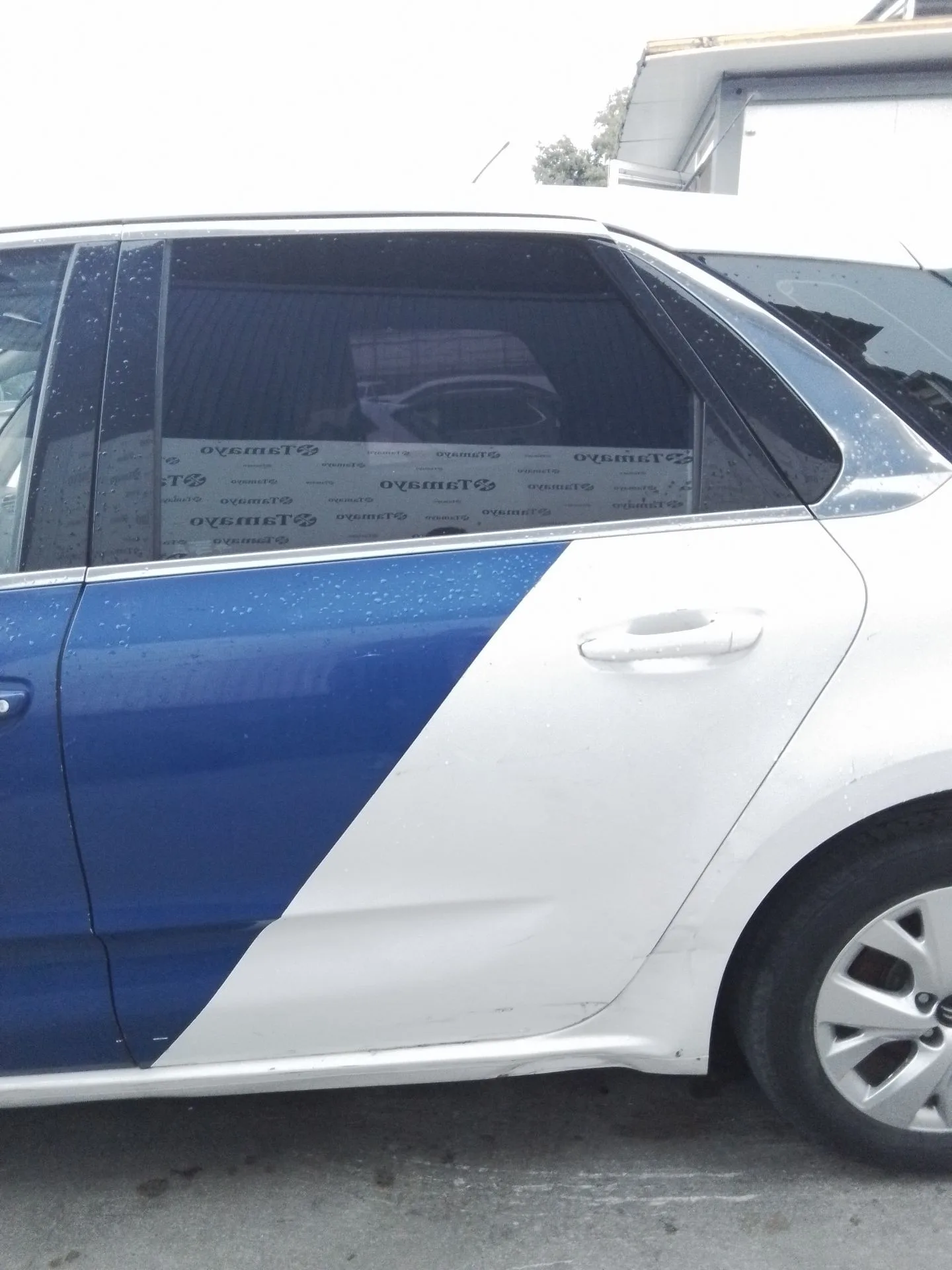 Puerta Trasera Izquierda para Citroën C4 Picasso Ii