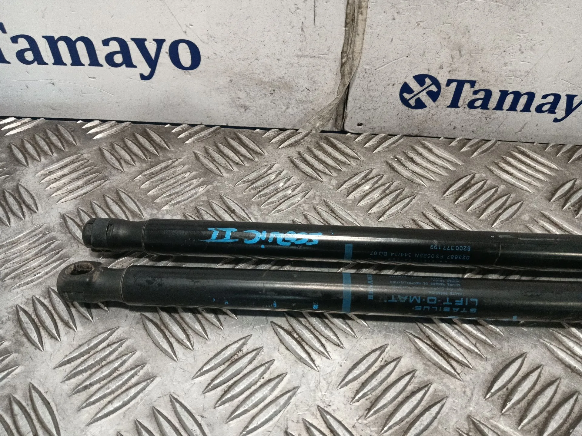 Amortiguadores Maletero / Porton para Renault Scenic Ii