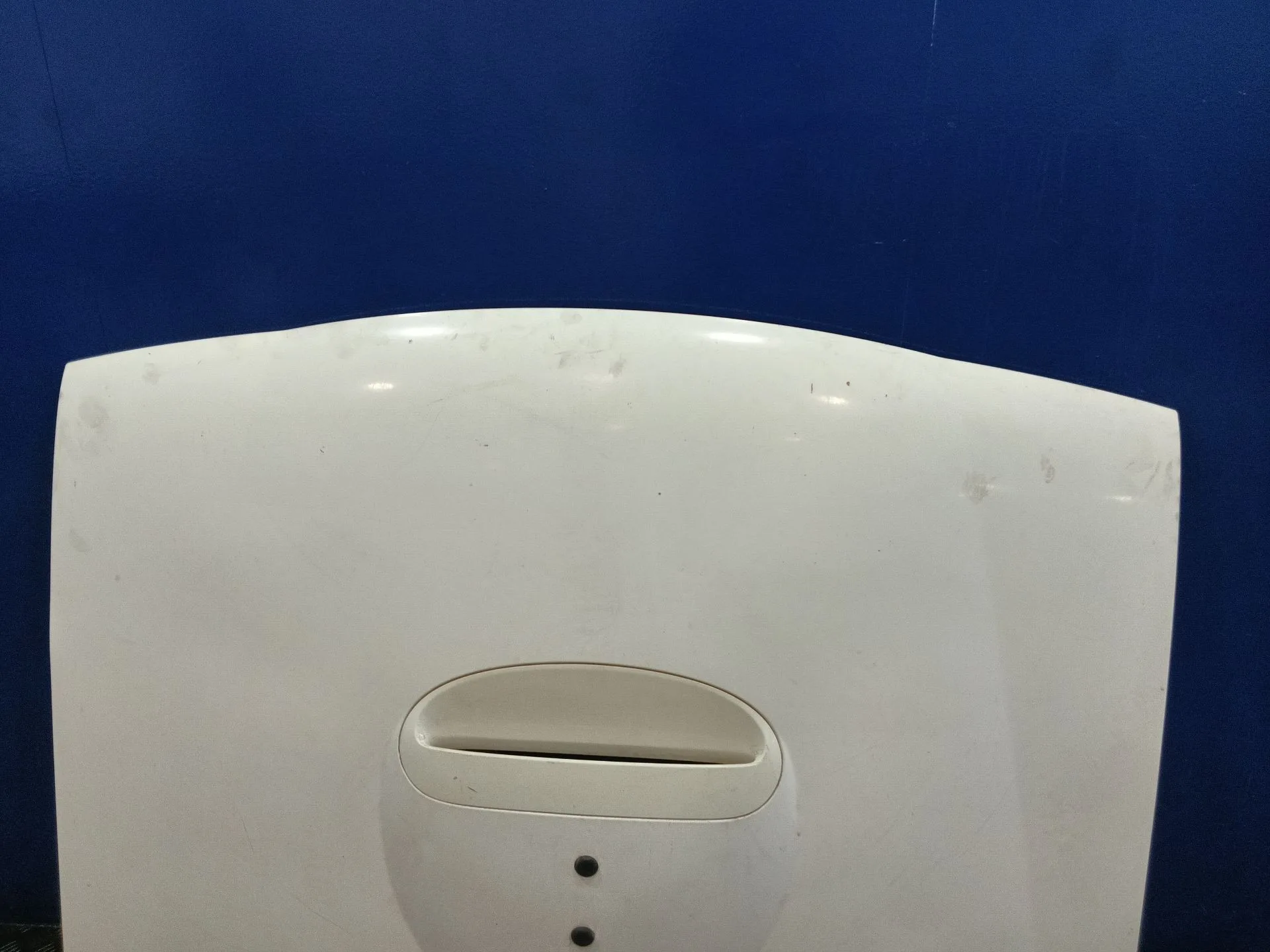 Capot para Nissan Terrano/Terrano.ii (R20)