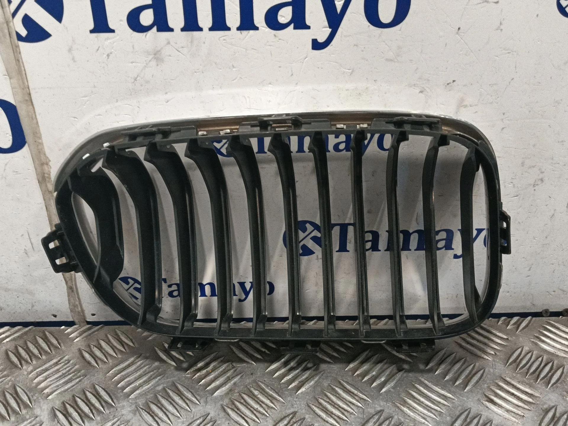 Rejilla Paragolpes Derecha para Bmw 1 (F21)