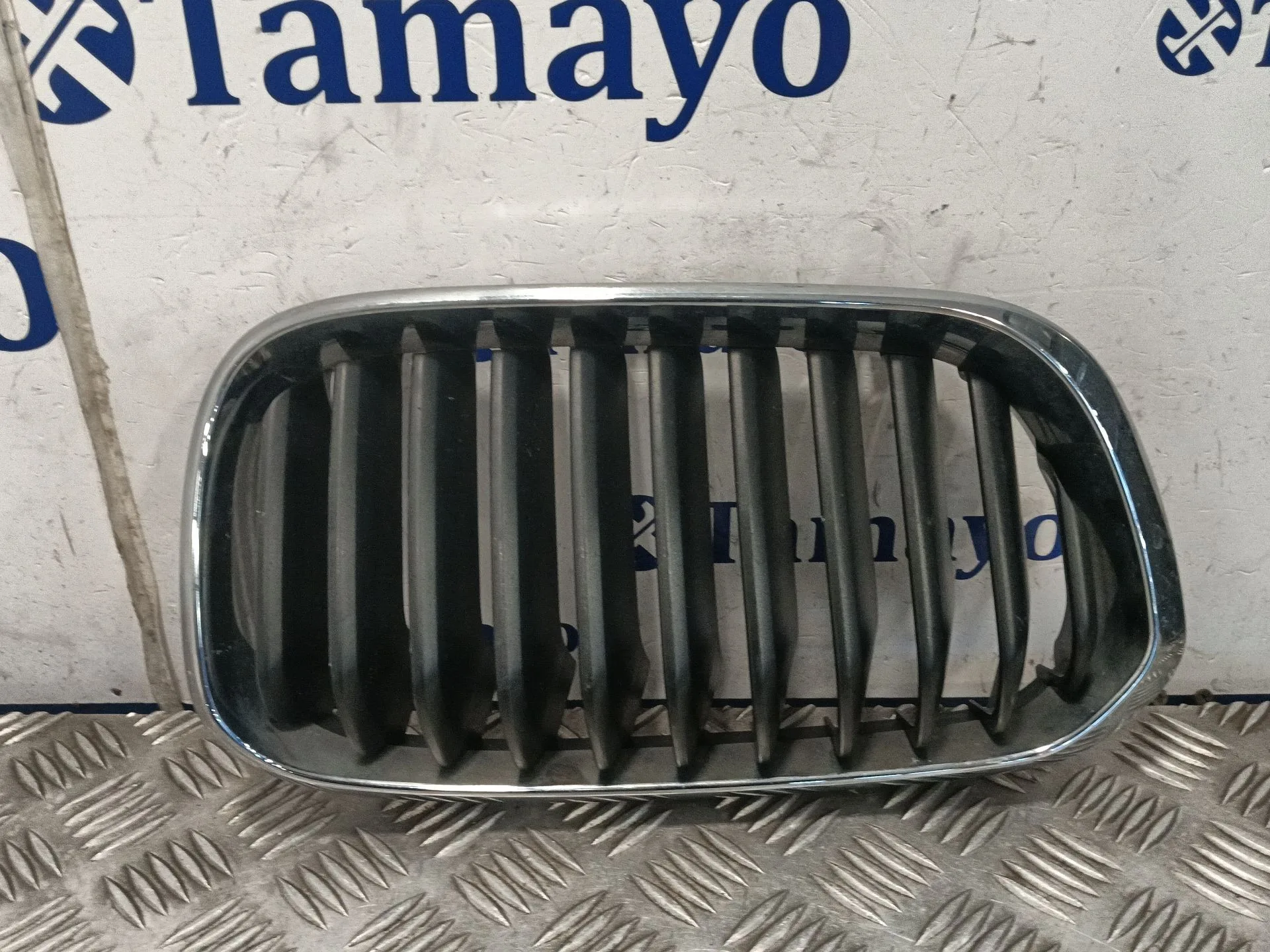 Rejilla Paragolpes Izquierda para Bmw 1 (F21)