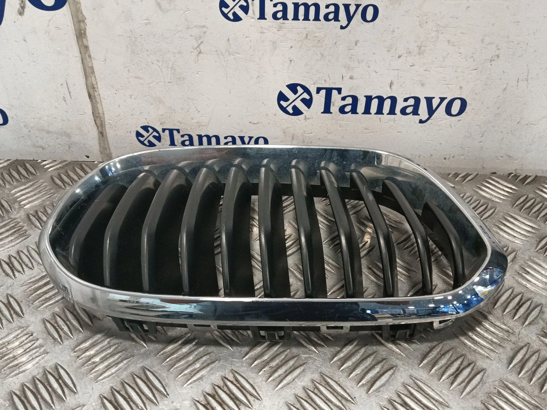 Rejilla Paragolpes Izquierda para Bmw 1 (F21)